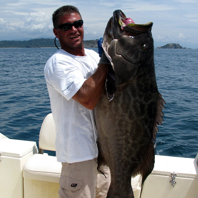 costa rica bottom fishing grouper